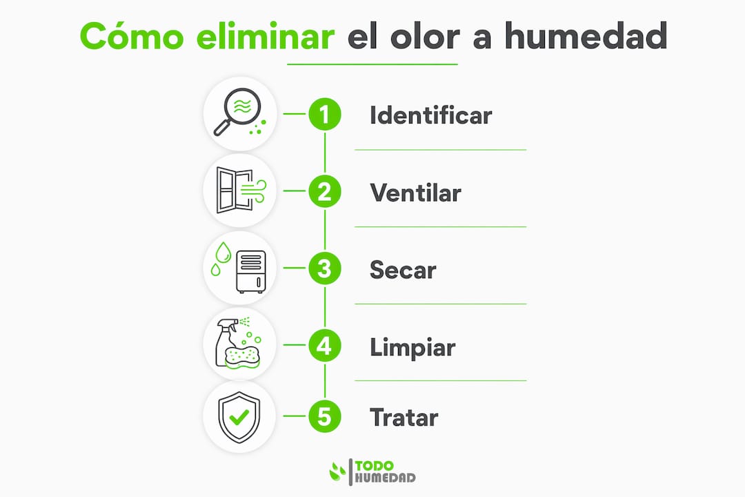 Guía visual con los pasos clave para quitar el olor a humedad en casa