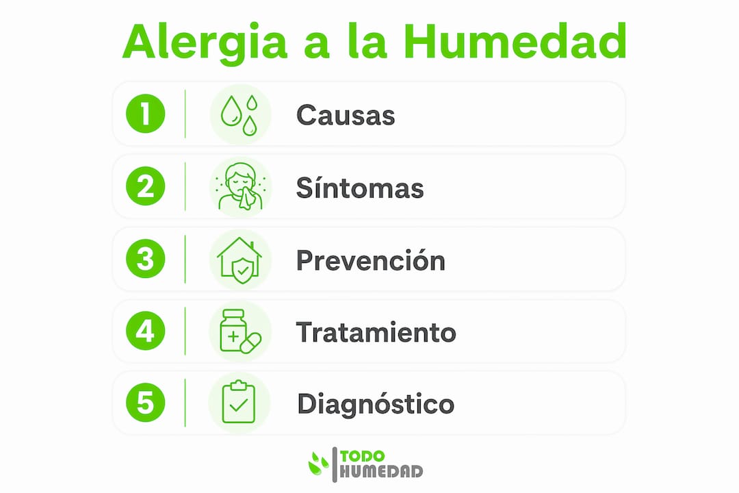 Infografía: ¿Cómo identificar y manejar la alergia causada por la humedad paso a paso?