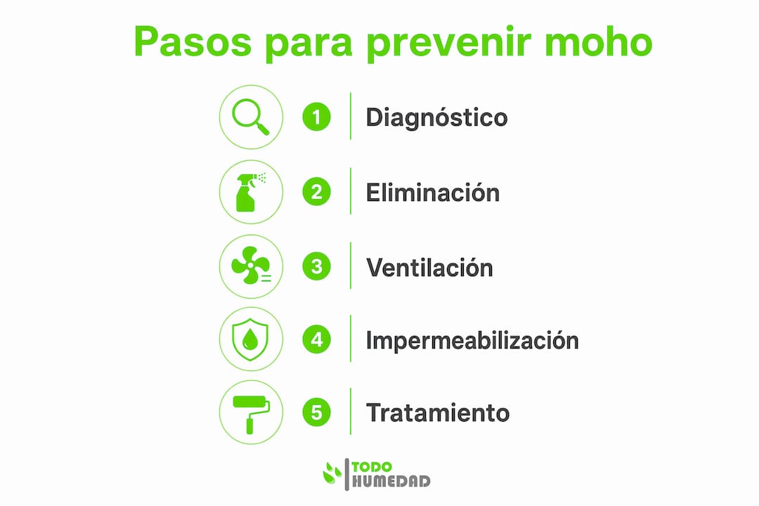 Infografía con recomendaciones clave para evitar que el moho vuelva a aparecer en las paredes