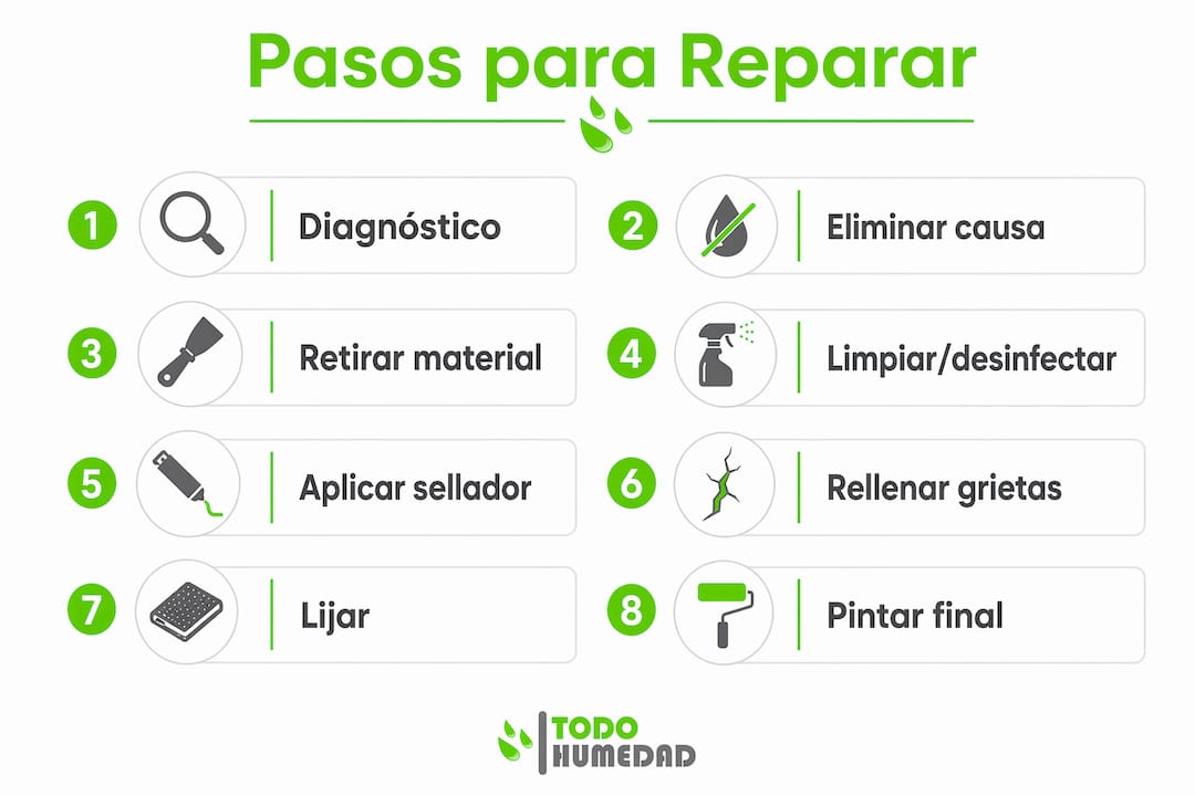 Infografía: guía práctica para eliminar la humedad de las paredes y evitar que vuelva a aparecer