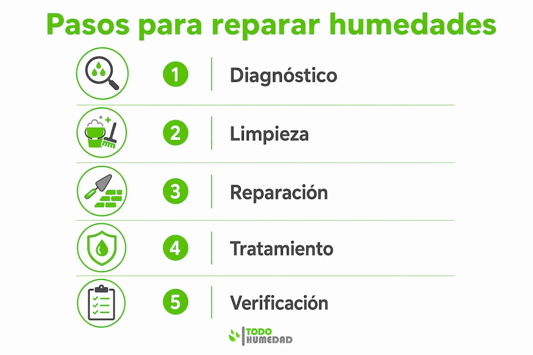 Guía visual con consejos prácticos para eliminar las humedades en casa