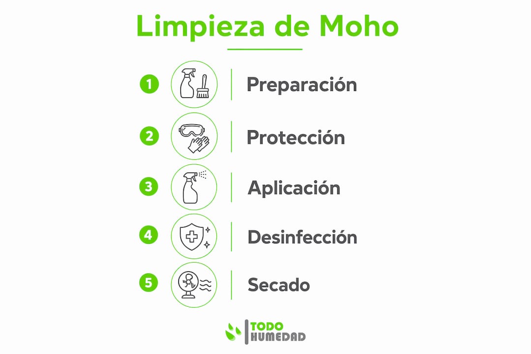 Infografía: cómo eliminar el moho de las paredes para siempre, paso a paso