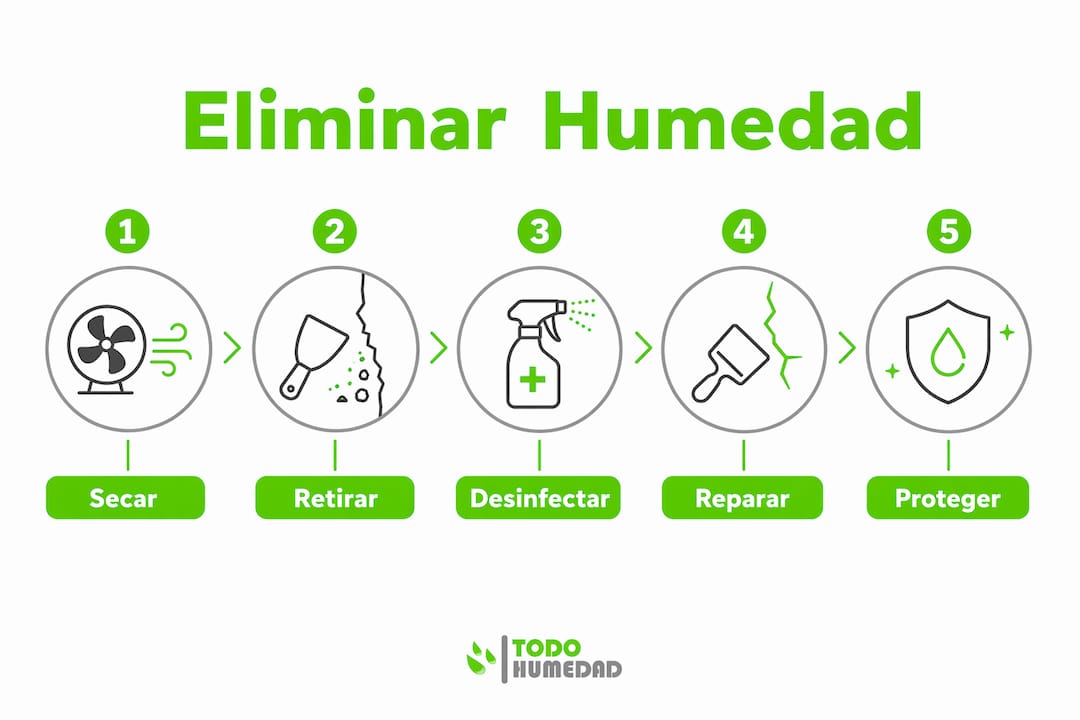 Guía visual: cómo quitar la humedad de las paredes paso a paso