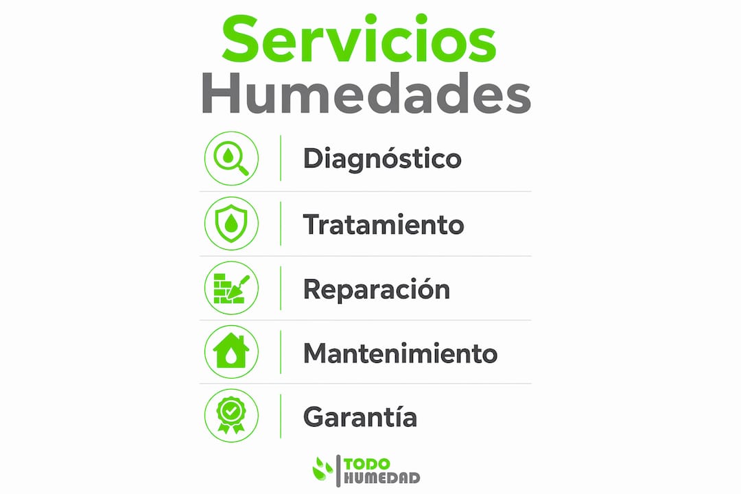 Infografía con un resumen de los principales servicios que ofrecemos para solucionar problemas de humedades en viviendas y negocios.