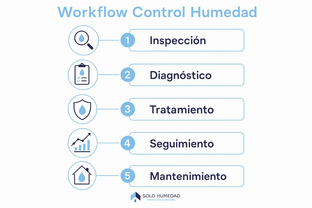 Infografía sobre las fases del proceso de control de humedad en edificios