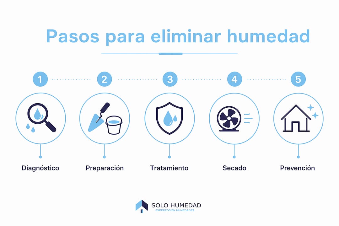 Infografía: cómo acabar con la humedad en tu hogar paso a paso