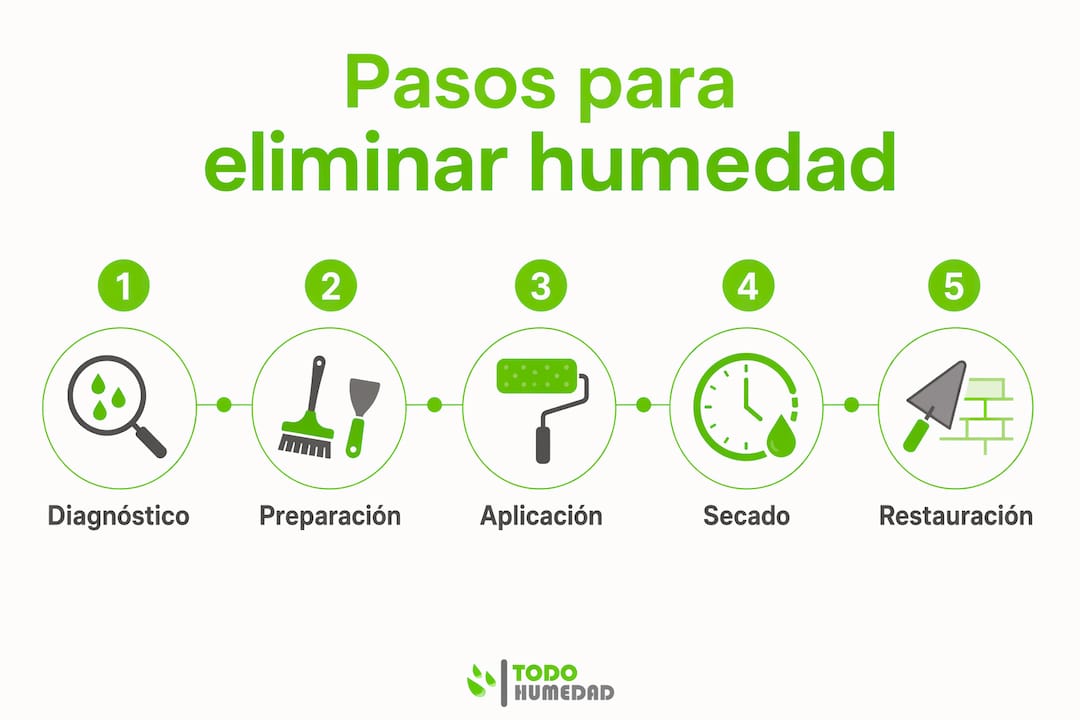 Guía visual: cómo quitar la humedad de las paredes paso a paso