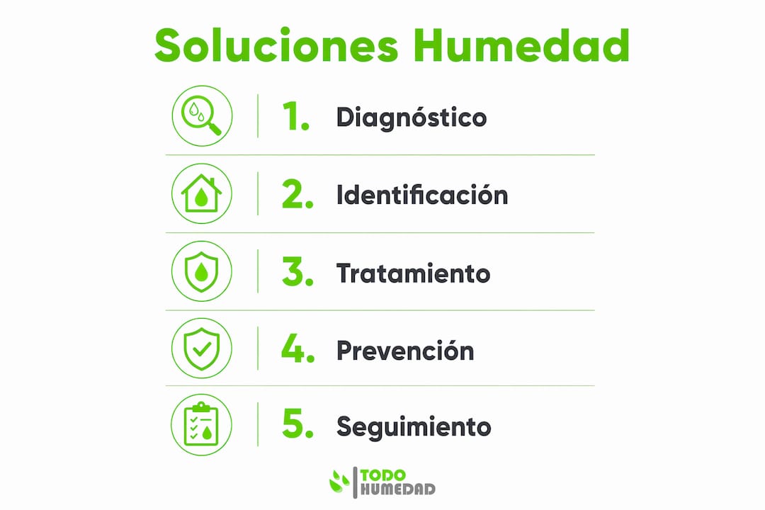 Guía visual: cómo identificar y solucionar la humedad oculta en casa