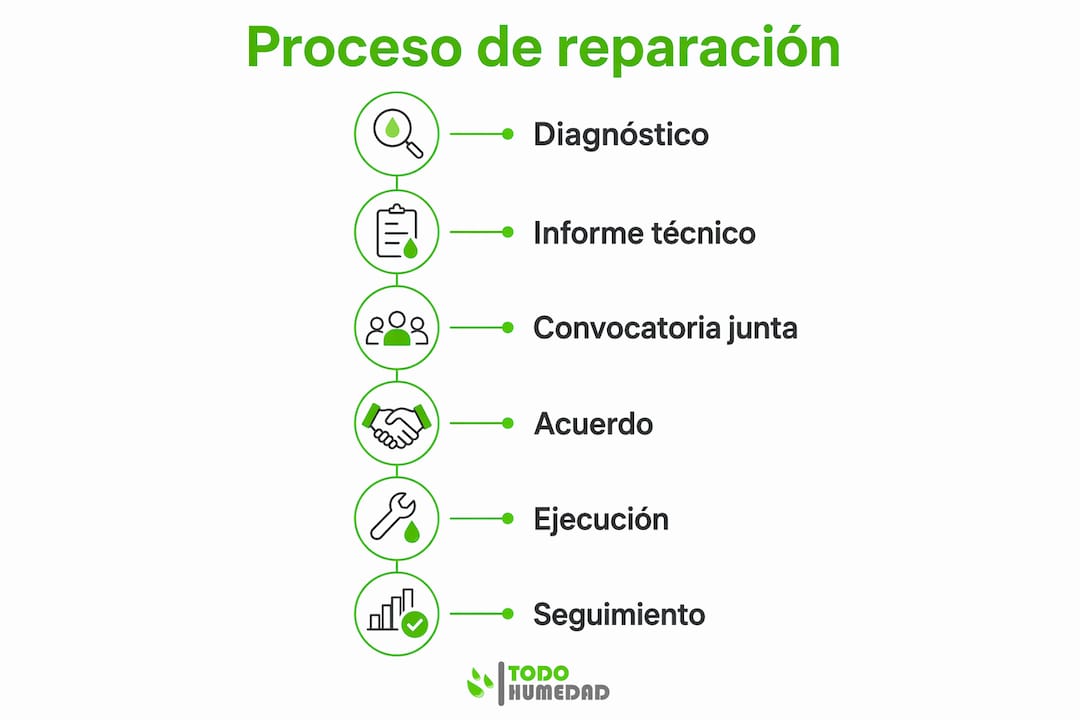 Infografía que muestra las etapas clave para solucionar problemas de humedad