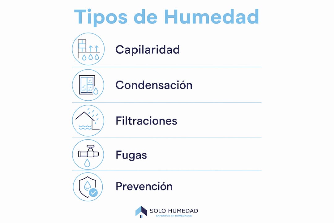 Descubre en esta infografía las distintas formas en que la humedad puede aparecer en Majadahonda y cuáles son sus principales causas.
