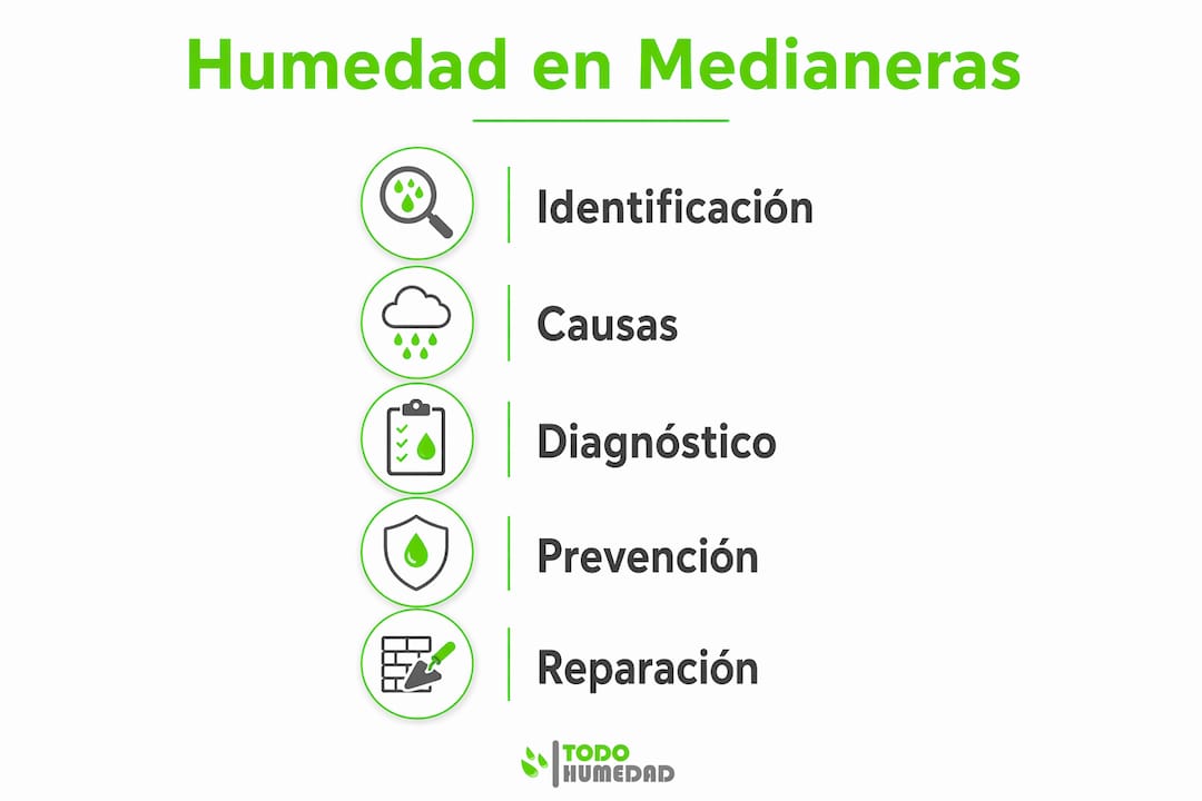 Infografía: guía práctica para solucionar problemas de humedad en medianeras