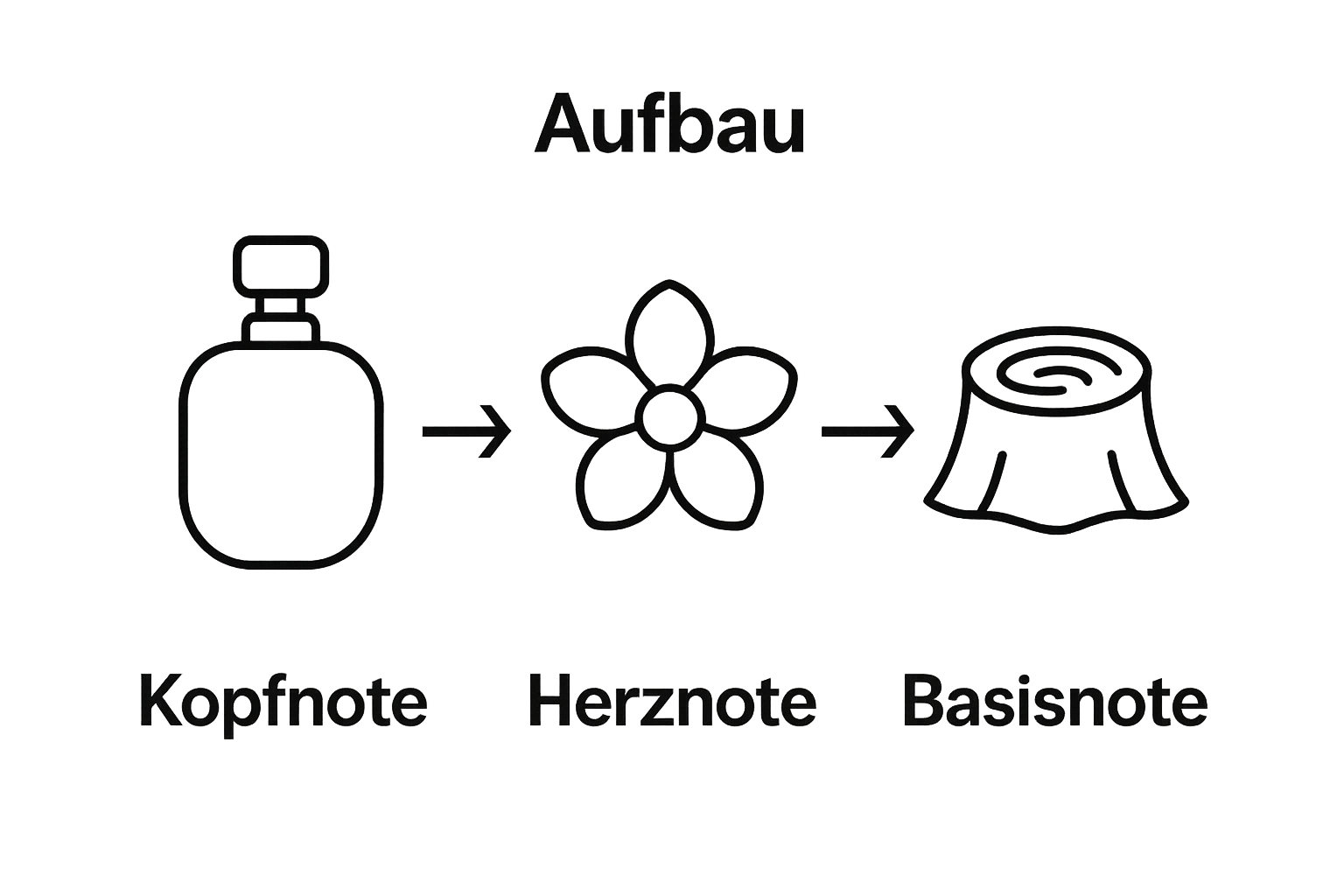 Infografik zeigt Kopf-, Herz- und Basisnote mit Symbolen.