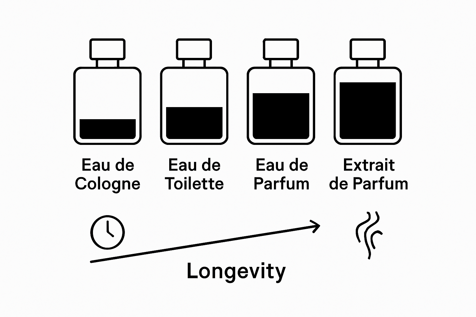 Infographic showing perfume concentration and longevity levels