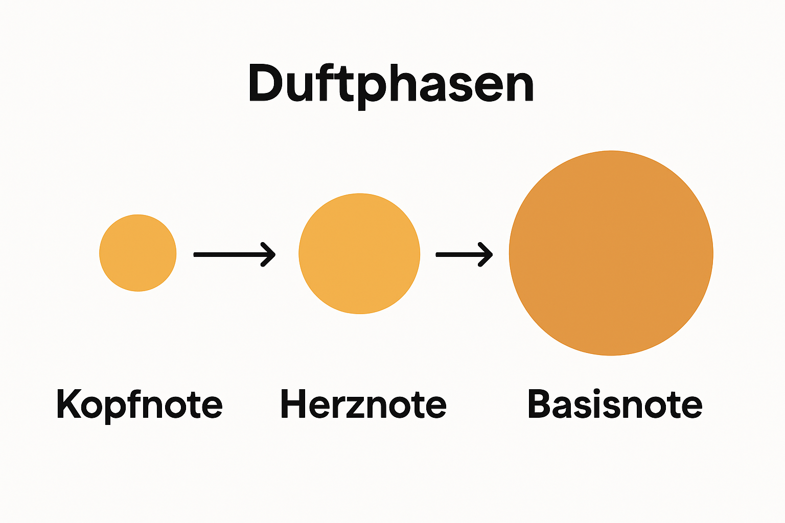 Infografik mit drei Farbkreisen für Kopfnote, Herznote und Basisnote