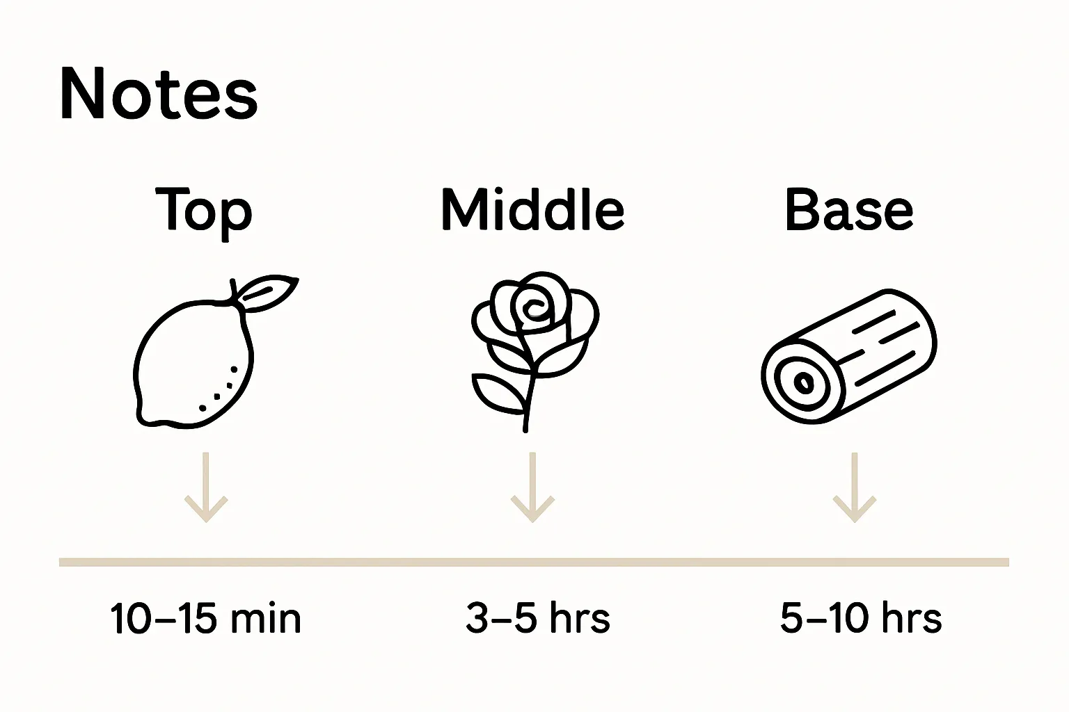 Infographic showing top, middle, base fragrance note differences