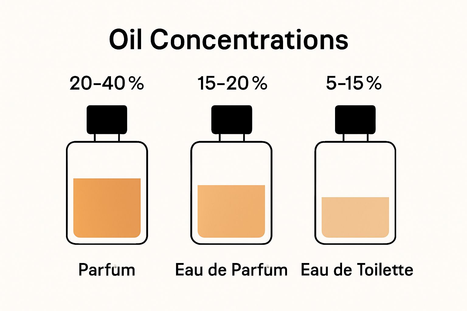Visual comparison of perfume types by oil concentration