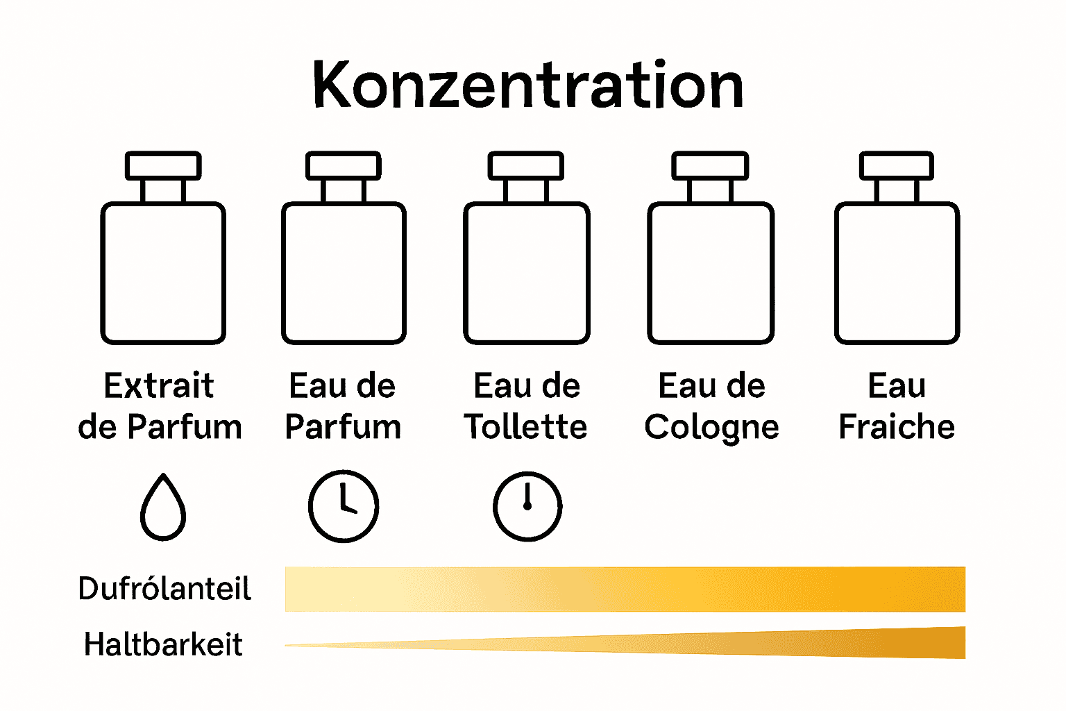 Vergleich fünf Parfum-Konzentrationsklassen nach Ölanteil und Haltbarkeit