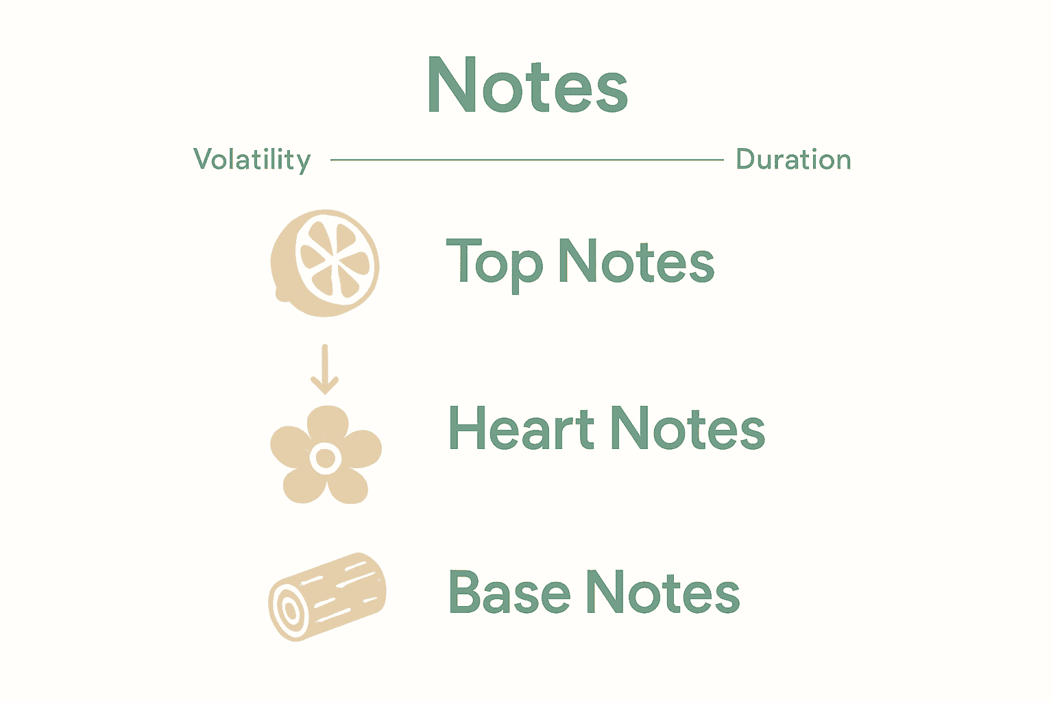 Infographic comparing top, heart, and base perfume notes with icons and arrows.
