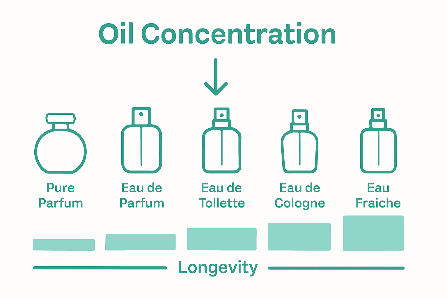 Infographic showing perfume types, oil concentration, and longevity.