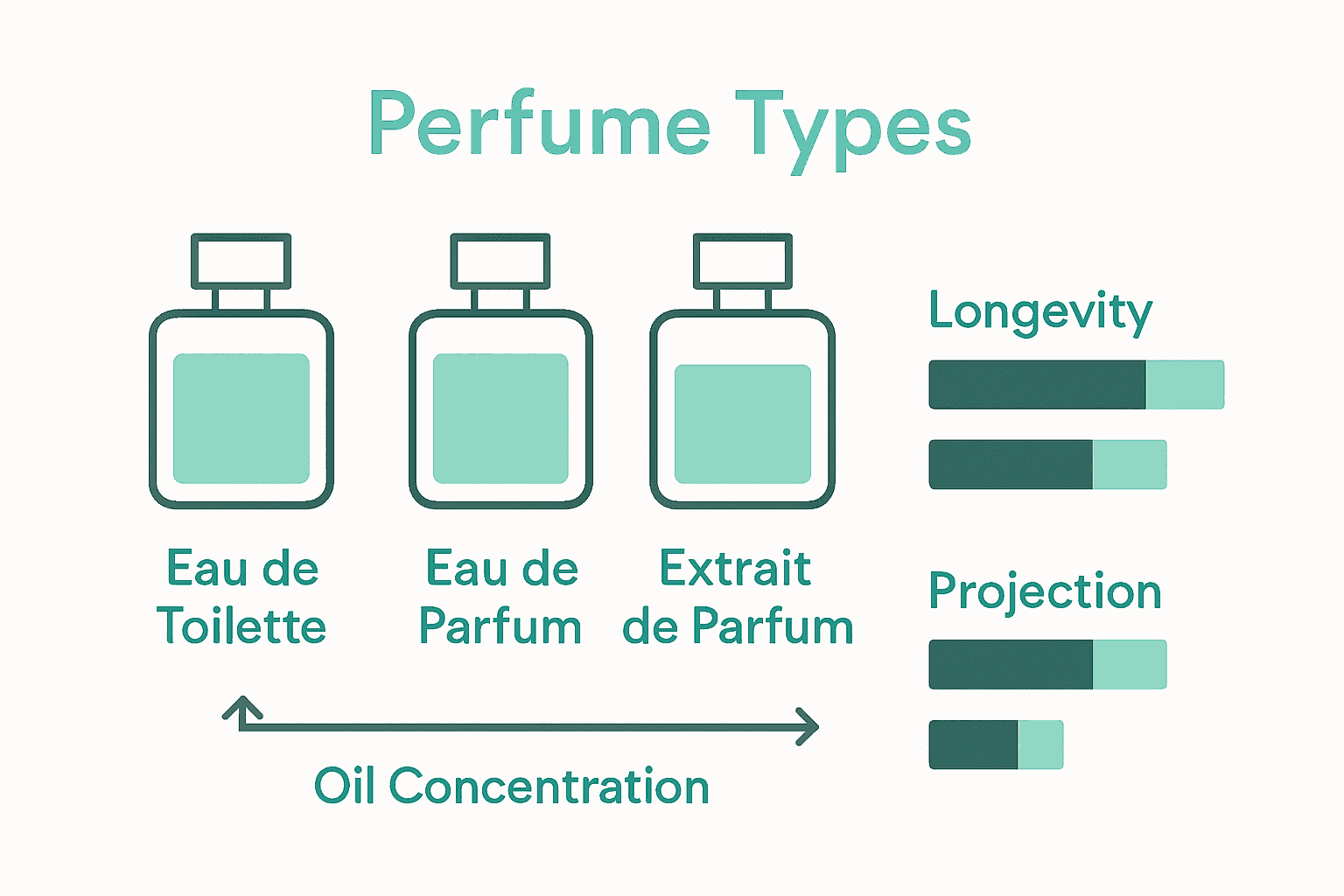 Infographic comparing perfume concentration types and longevity