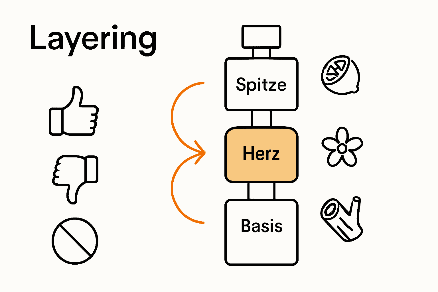 Infografik zeigt ideale Parfumschichtung und Fehlervermeidung