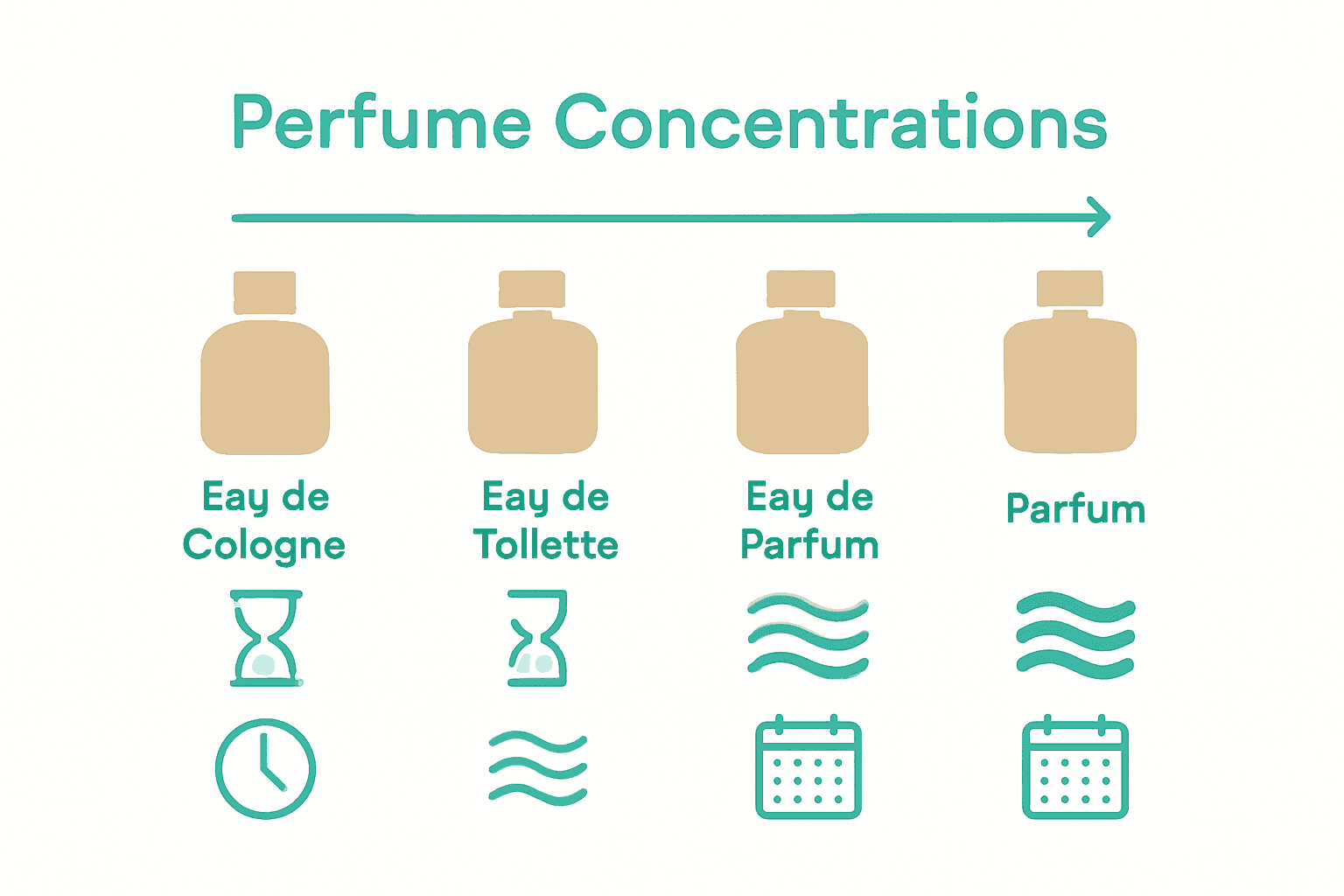 Infographic comparing concentrations and longevity of men's perfume types.