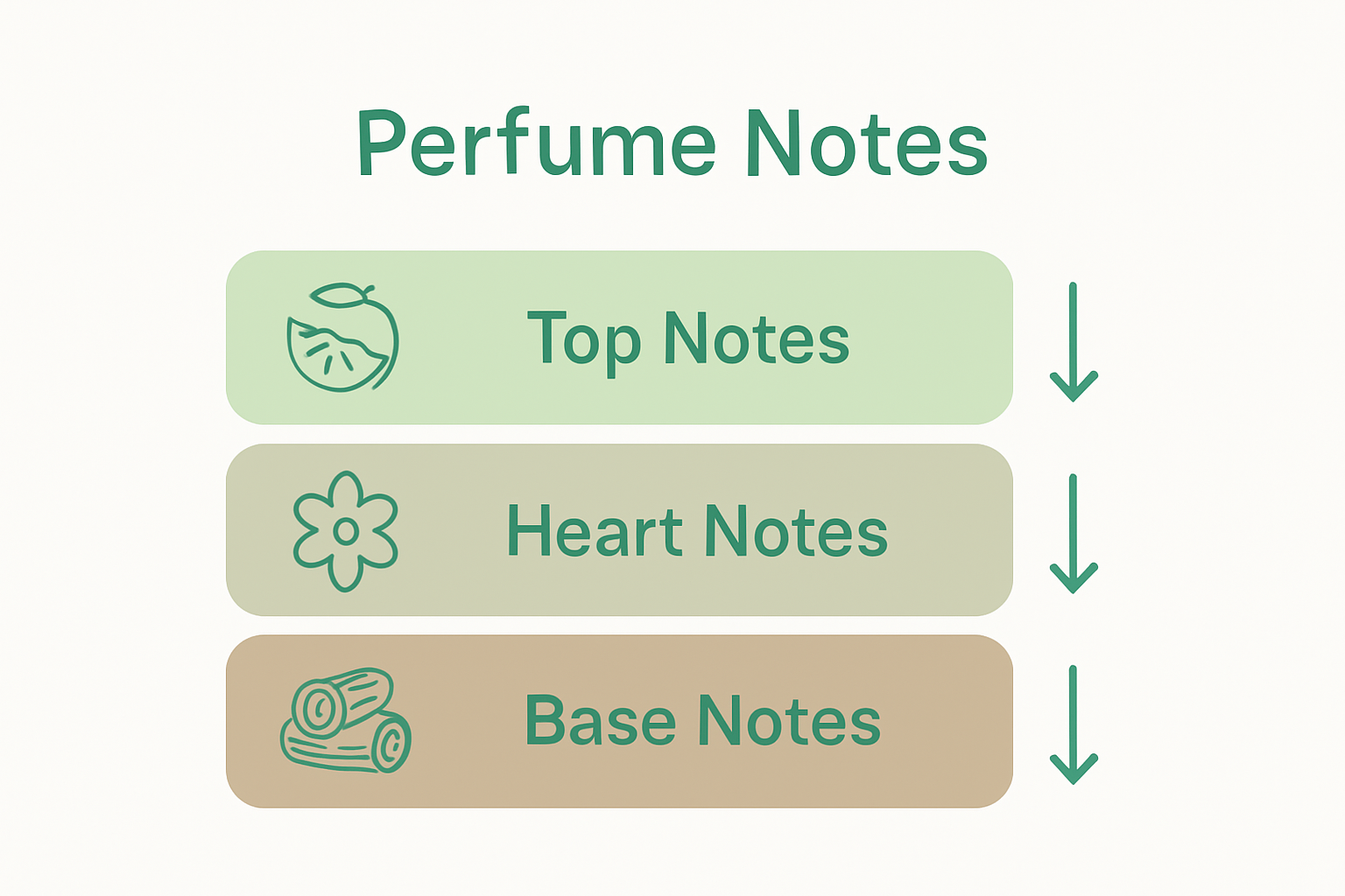 Infographic of perfume note structure
