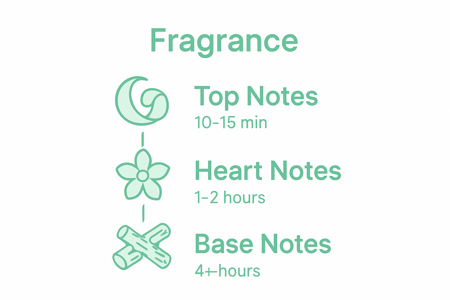 Infographic showing fragrance notes progression