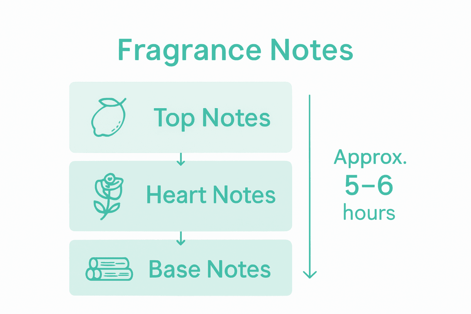 Infographic showing fragrance note longevity