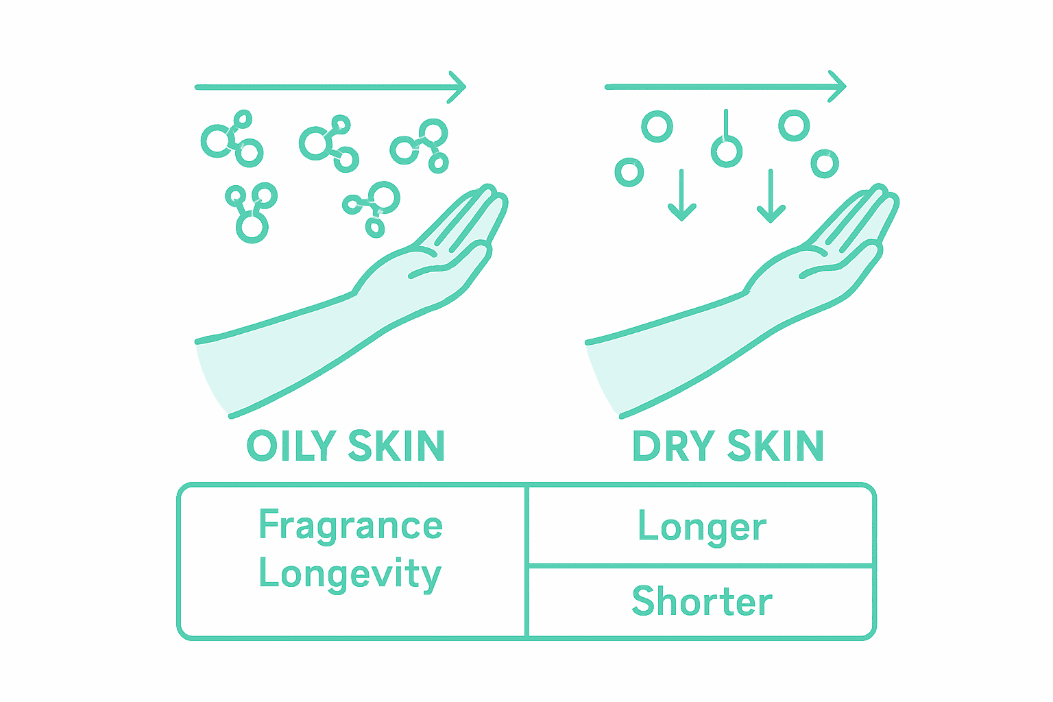 Infographic about skin chemistry and fragrance longevity