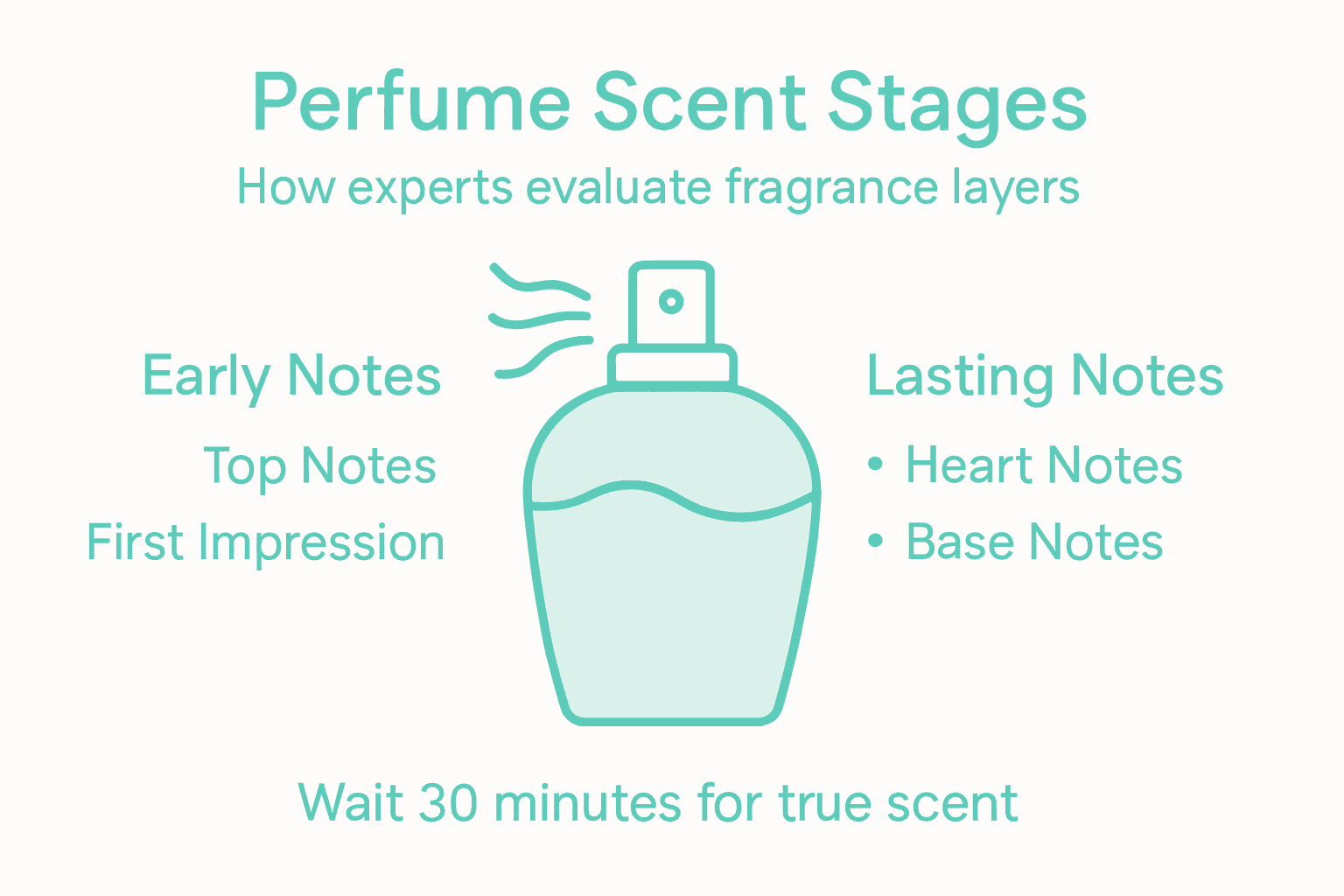 Infographic showing perfume scent evaluation stages
