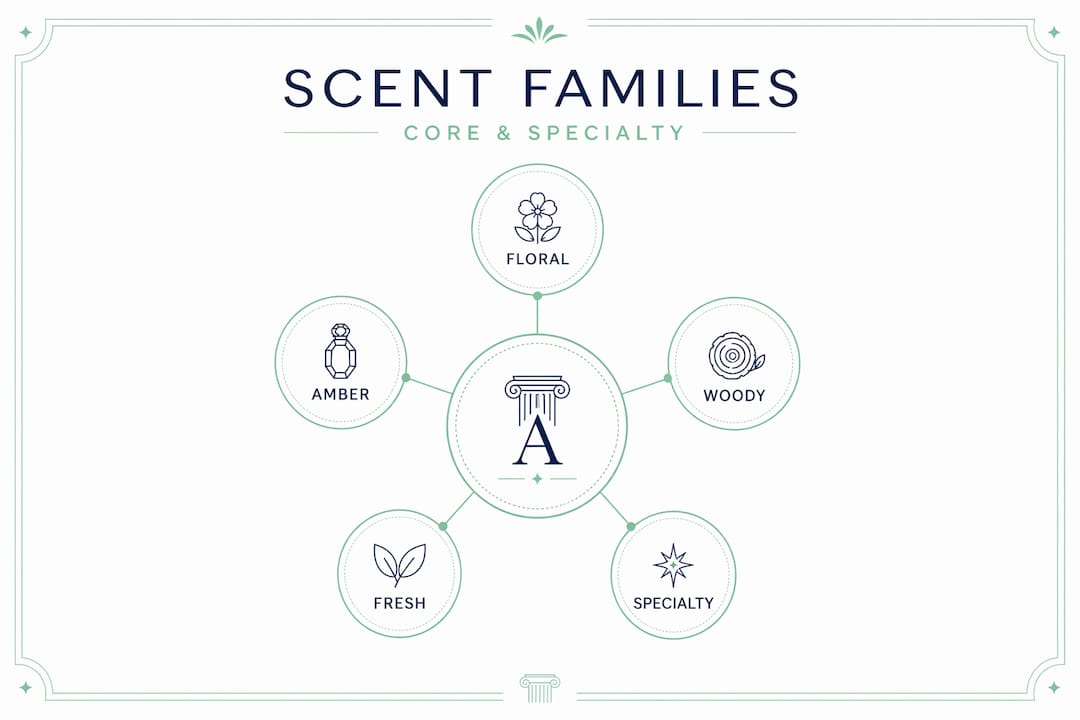 Infographic showing core perfume scent families