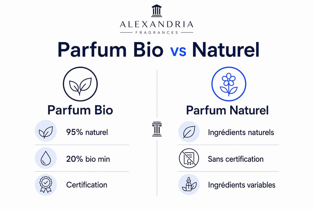 Infographie présentant les différences entre un parfum biologique et un parfum naturel