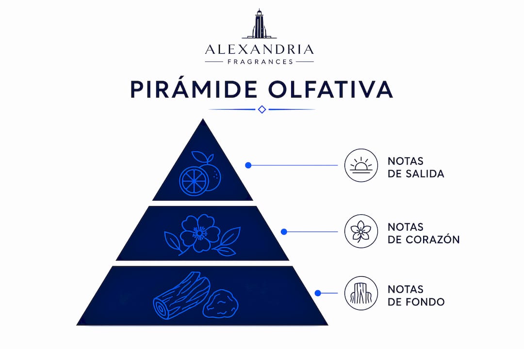 Infografía sobre la estructura olfativa de perfumes hechos a mano