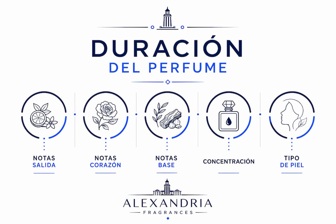 Guía visual sobre la duración y composición de las notas en un perfume