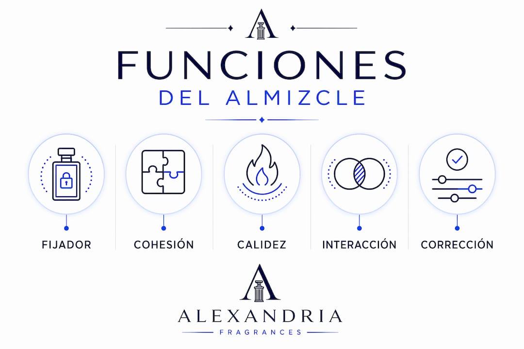 Infografía sobre los diferentes roles que cumple el almizcle en la perfumería