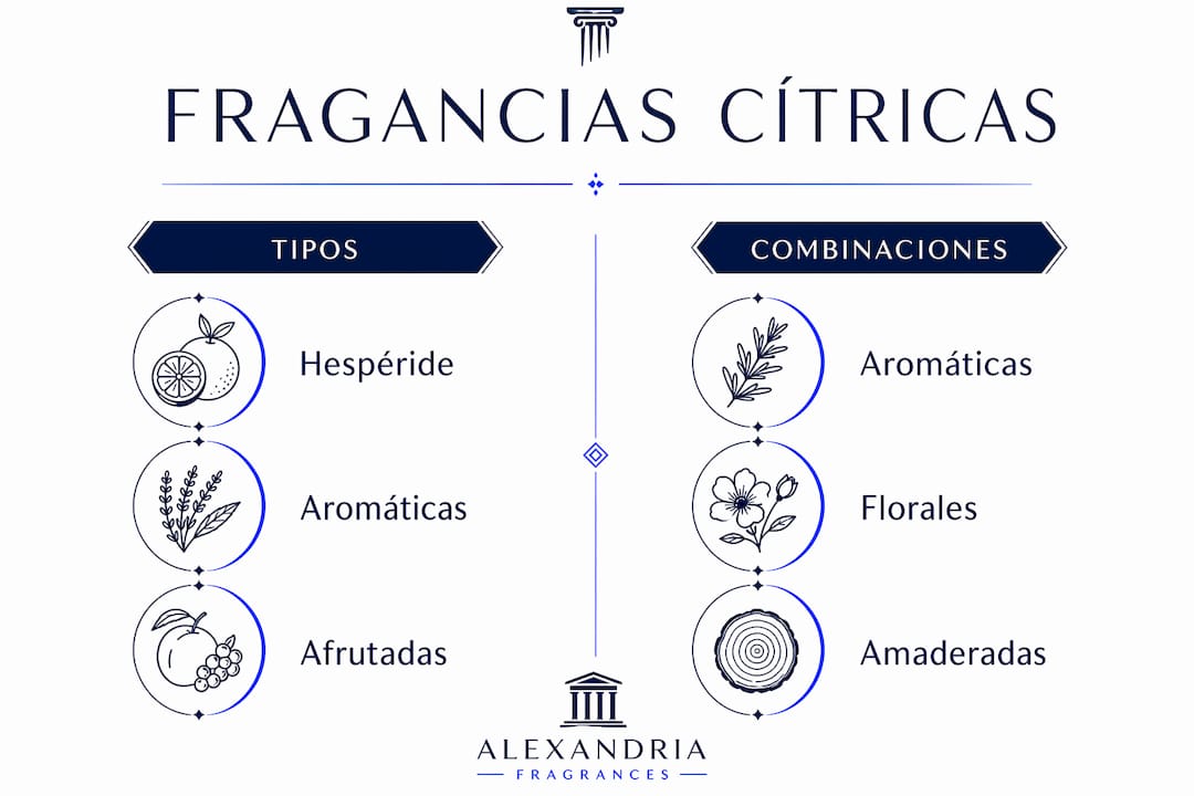 Infografía sobre los diferentes tipos de fragancias cítricas y sus combinaciones ideales