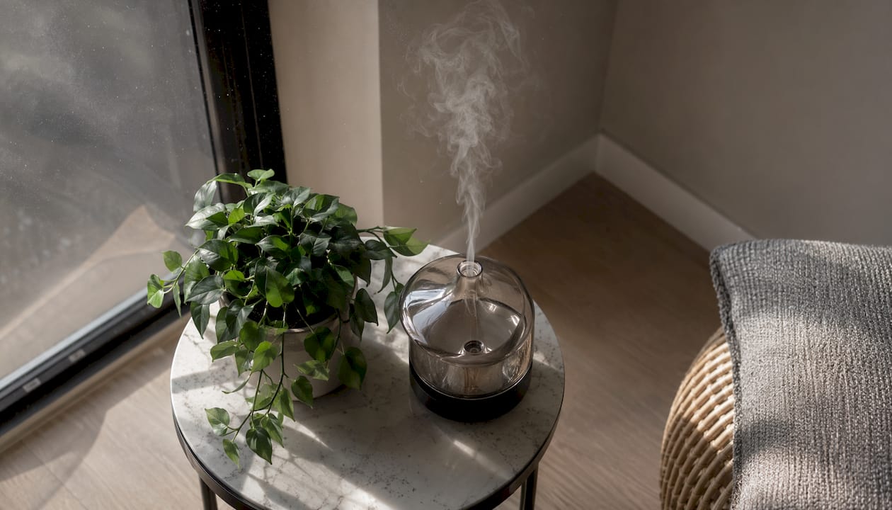 Un diffuseur de parfum et une plante verte apportent une touche de fraîcheur et de bien-être dans un salon contemporain.