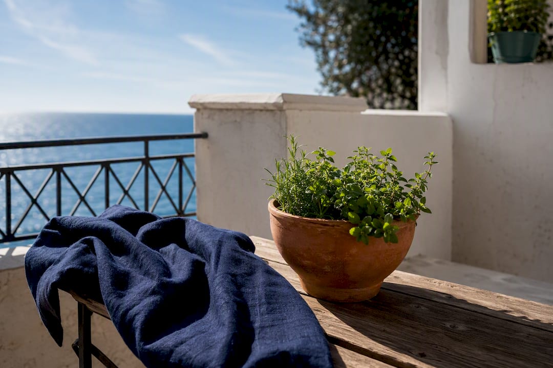 Mediterranean coastal terrace suggesting marine citrus scent