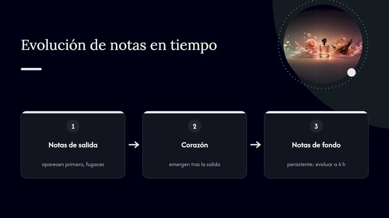 Fases de salida, corazón y fondo
