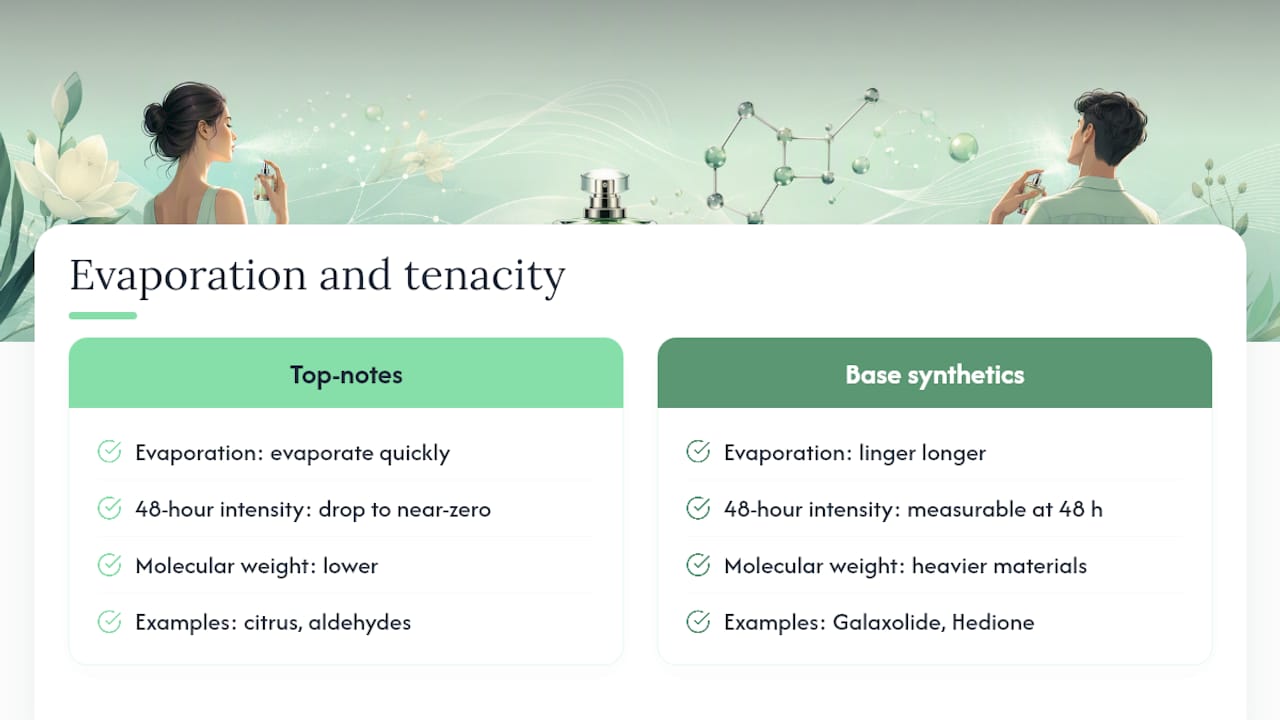Fragrance evaporation and tenacity over 48 hours