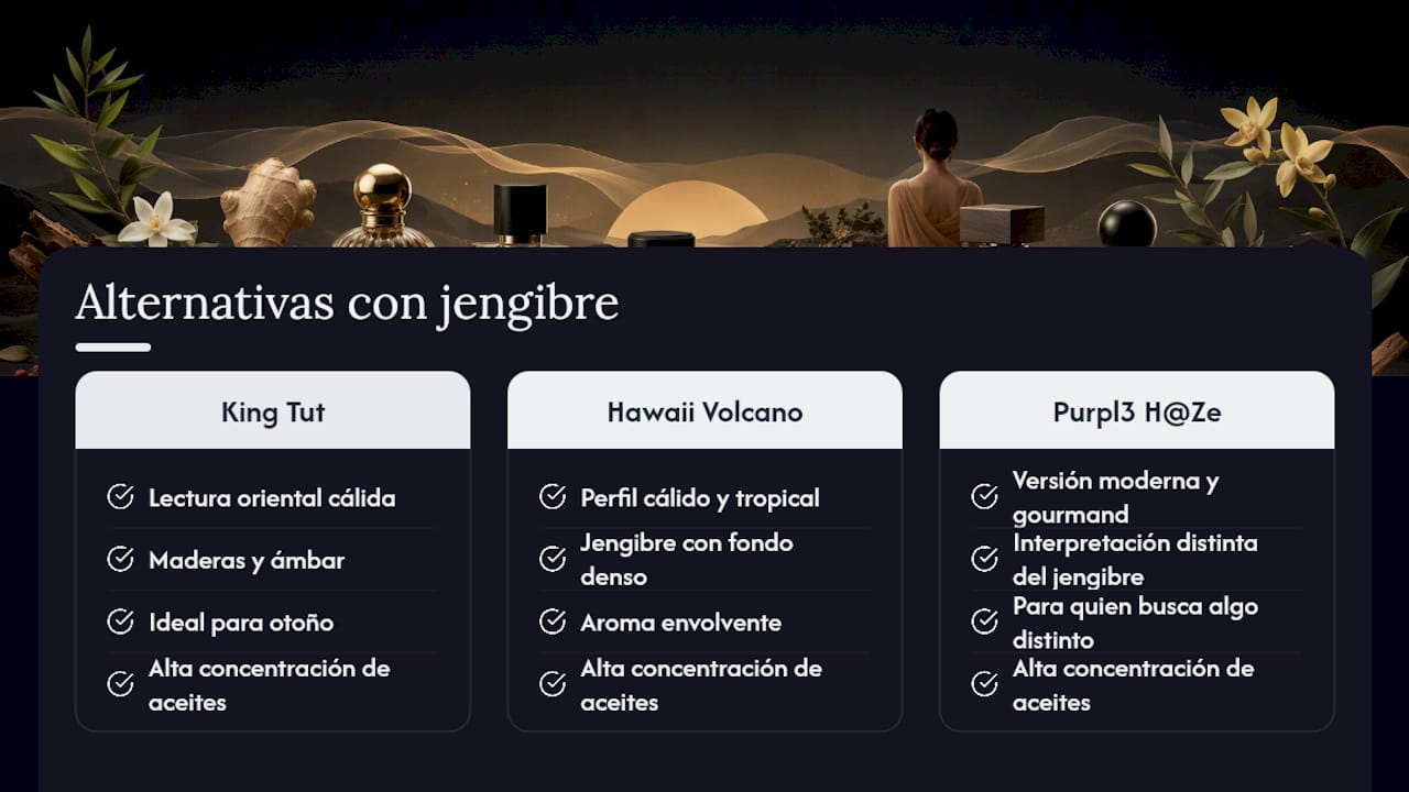 Prueba las alternativas del editor con jengibre y especias — overview diagram