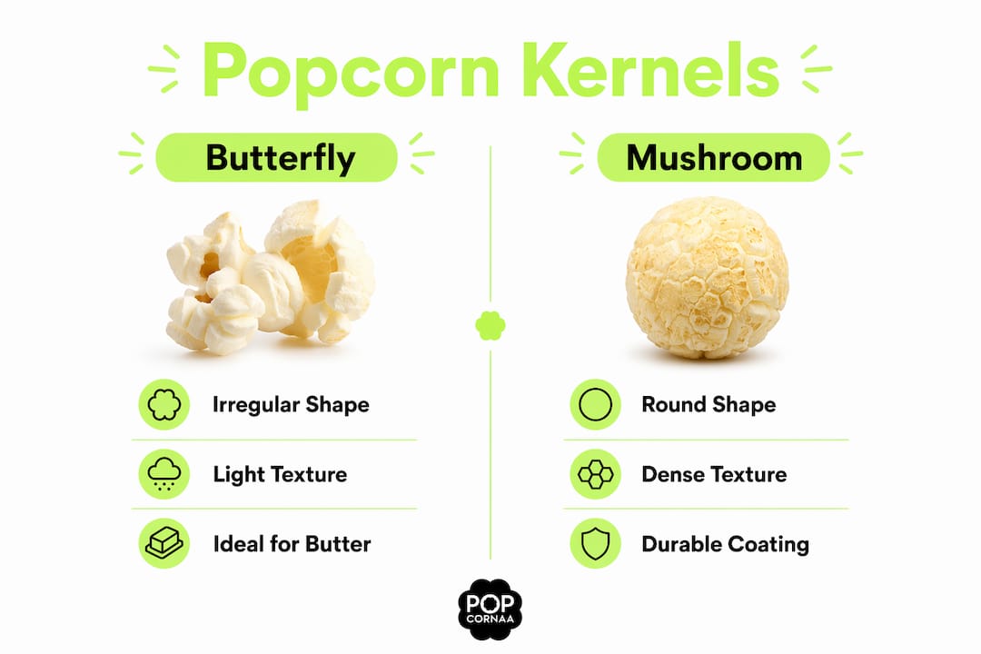 Infographic comparing butterfly and mushroom popcorn kernels