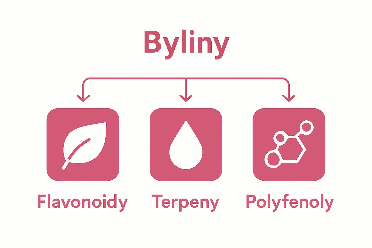 Infografika hlavní skupiny účinných látek v bylinách