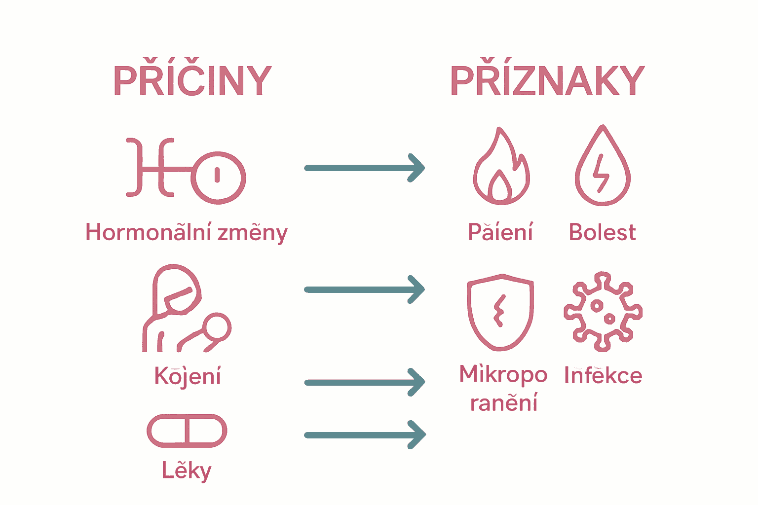Infografika ukazující příčiny a projevy vaginální suchosti pomocí ikon a šipek.