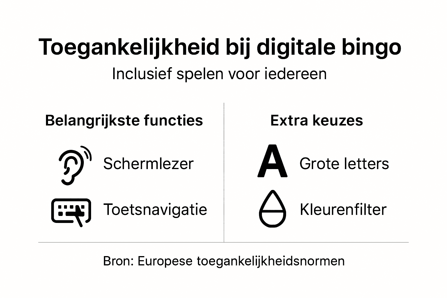 Overzicht van toegankelijke opties in digitale bingo