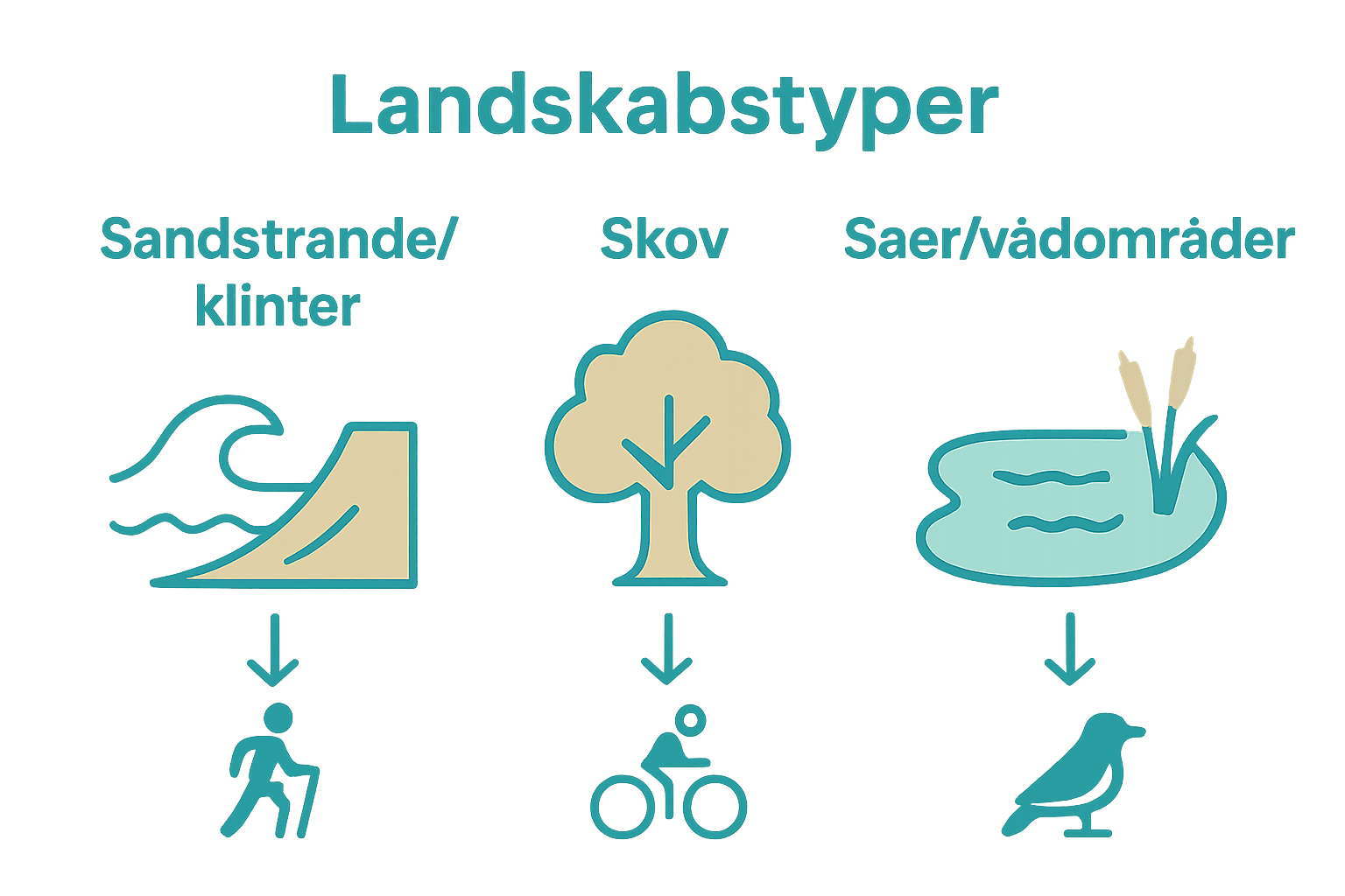 Infographic comparing Danish coast, forest, and wetland landscapes