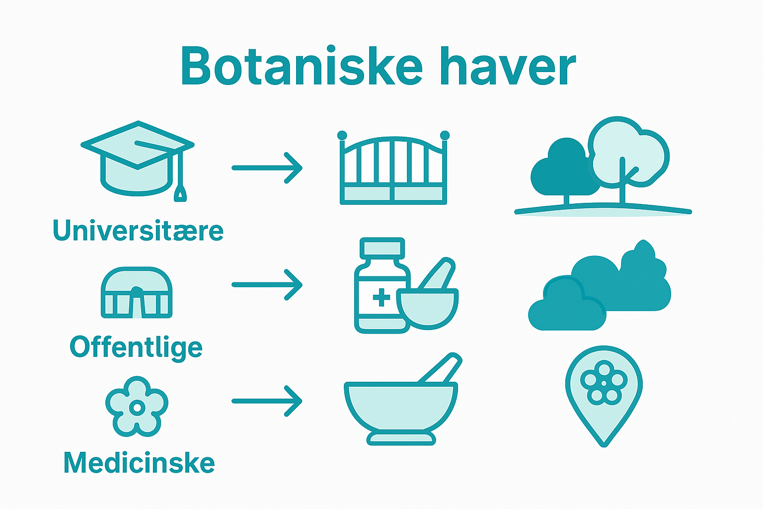 Infografik: Sådan adskiller de danske botaniske haver sig fra hinanden