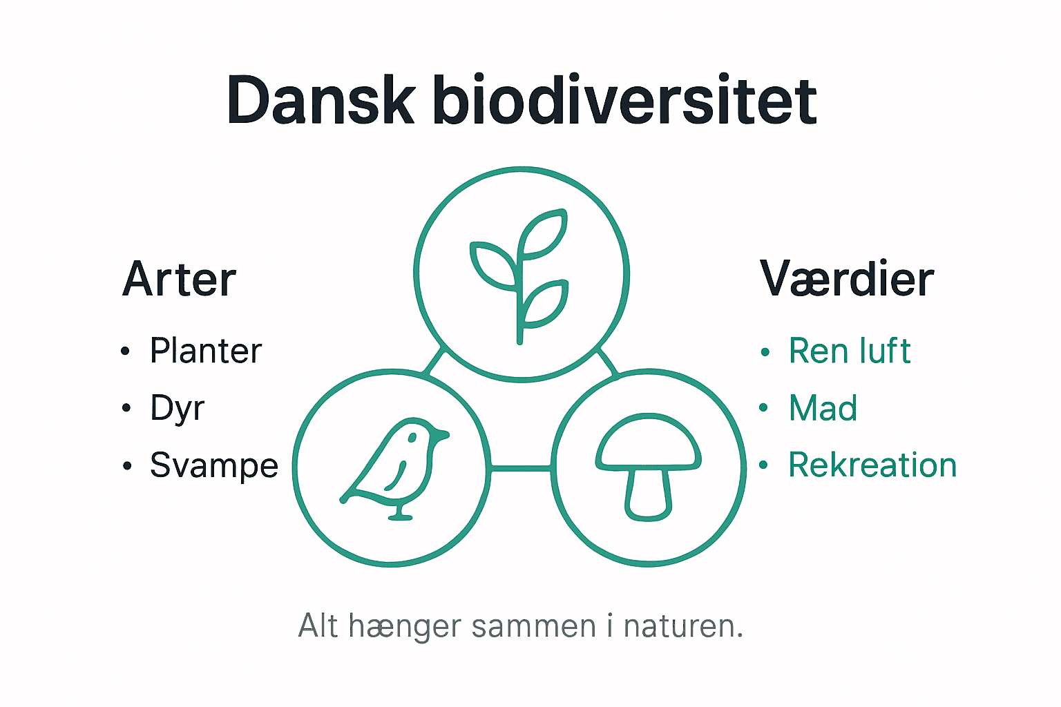 Visuel guide til Danmarks biodiversitet og naturens sammenhænge