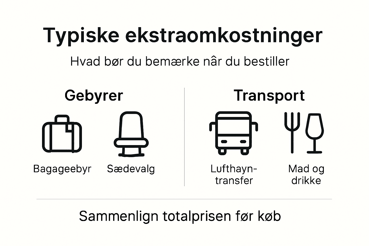 Grafik: Her er de mest almindelige ekstraudgifter, du skal være opmærksom på, når du flyver med lavprisflyselskaber
